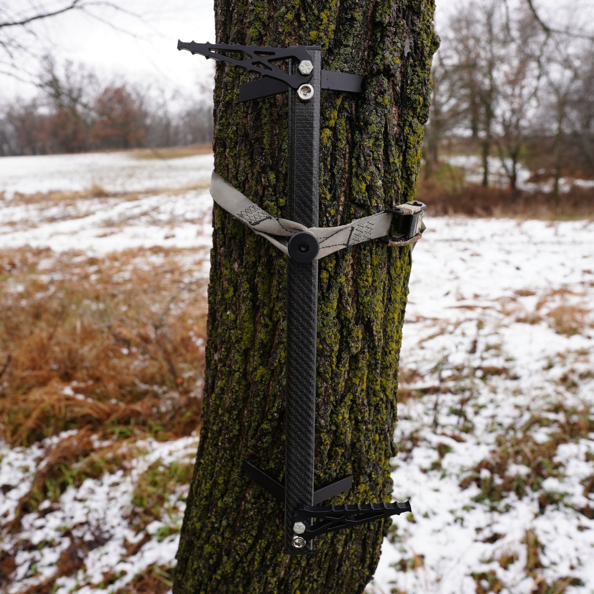 Lightweight climbing stick fastened to tree with cam buckle strap