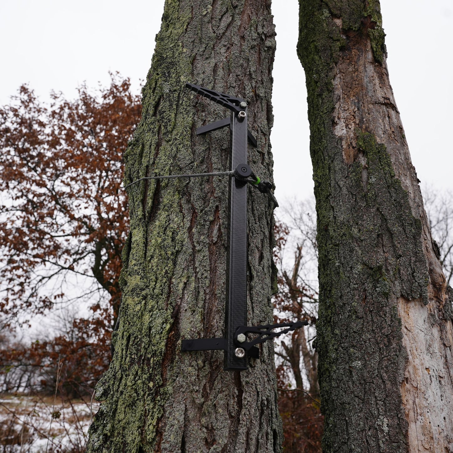 Cat Trax Commando (light weight climbing stick) secured to tree with amsteel rope mod